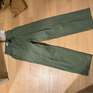 Everlane Green Cargo Pants with Sturdy Cotton Fabric